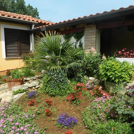Apartments Vila Vanda Porec Exterior photo